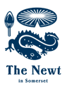The Newt logo
